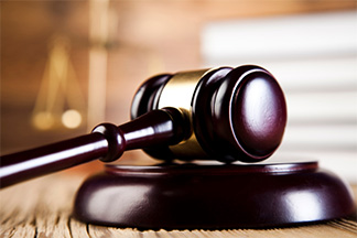 Litigation Group